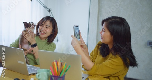 Two Asian women friend are sitting at a table with a small dog. women holds a Chihuahua and smiles for a selfie taking a picture of the dog with cell phone in a bright cozy workspace business home