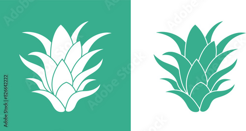 Agave logo. Isolated agave on white background