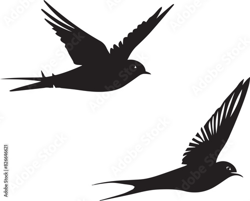 Silhouettes of birds swallow on white background  