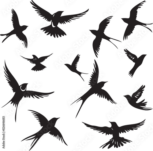 Silhouettes of birds swallow on white background 