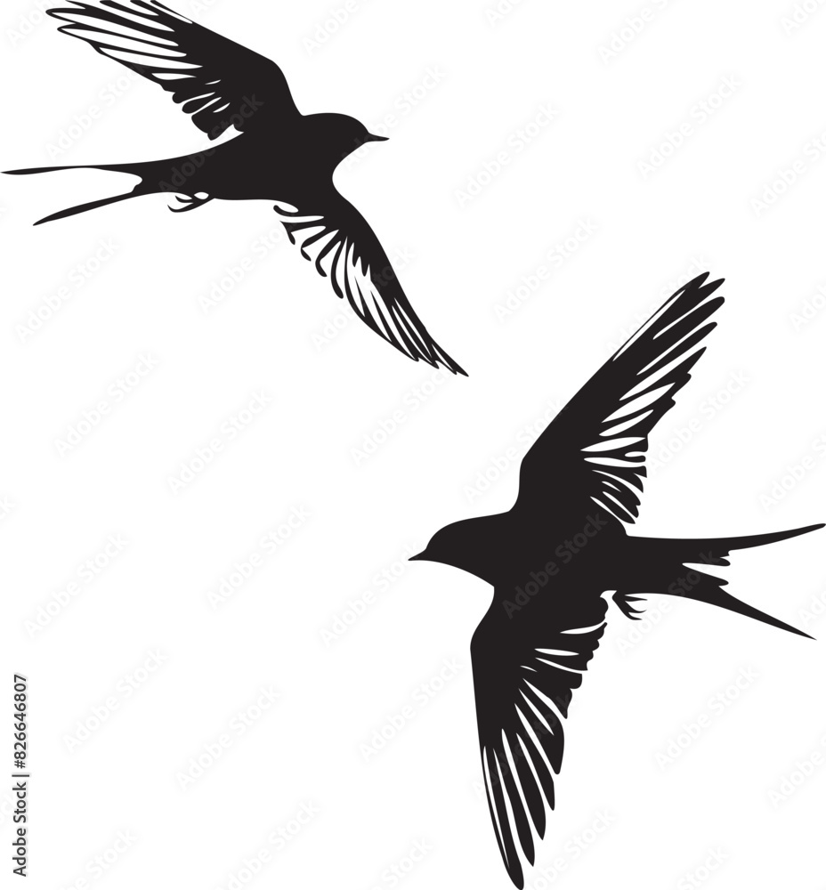 Obraz premium Silhouettes of birds swallow on white background 