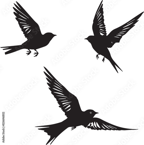 Silhouettes of birds swallow on white background   © Adeela vector & ai