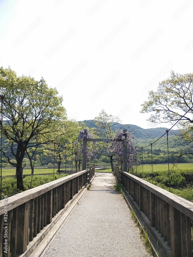 Fototapeta premium 풍경