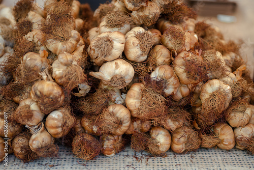 Close-up of smoked garlic at the market. 