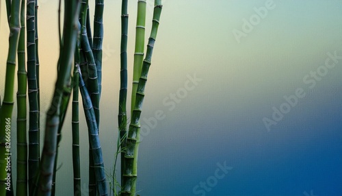 soft color blue green agradient grainy texture abstract background