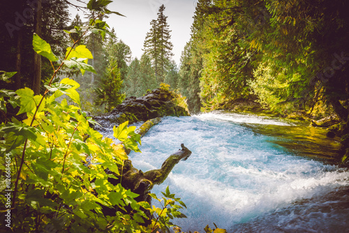 Flowing river at the top of a waterfall in autumn in the forest with trees