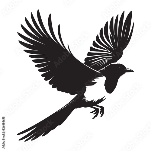 Magpie bird black & white silhouette Vector on white background