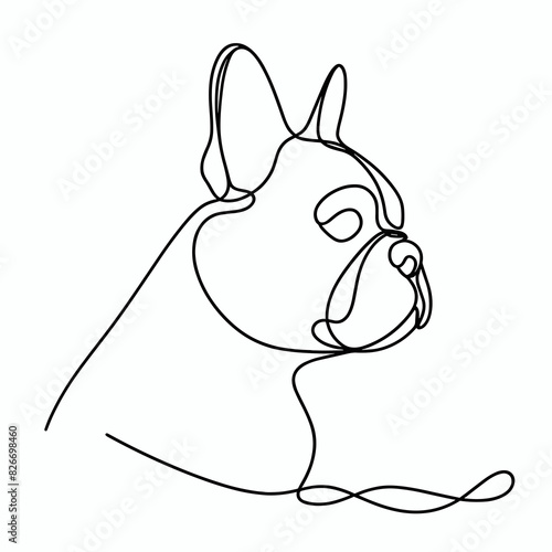 vector image white background corgi lineart
