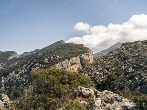 An overlook aerial view of the Cerro de la Higuera National Park, as seen from the Mirador De Las Buitreras lookout point in Andalusia, Spain photo