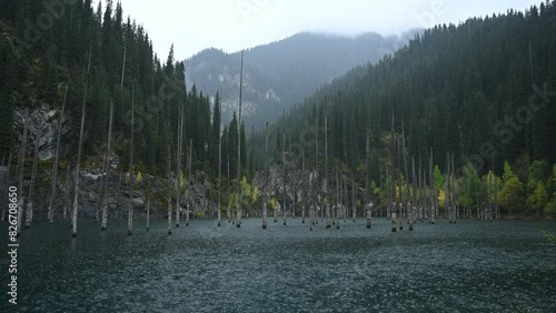 Kaindy lake during rain. Famous mountain lake with dry tree trunks in Kazakhstan