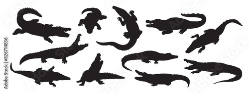 Crocodile and alligator silhouette set Isolated on White Background. Crocodile Vector Illustration. Crocodile Art work. © Creative Designer