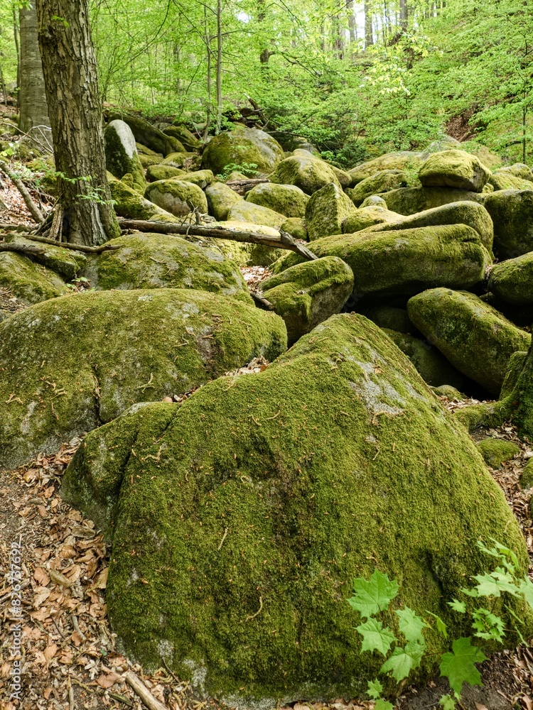 beautiful rock formations with green moss beautiful rock formations with green moss
