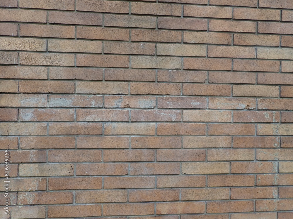 Obraz premium brick texture on a wall