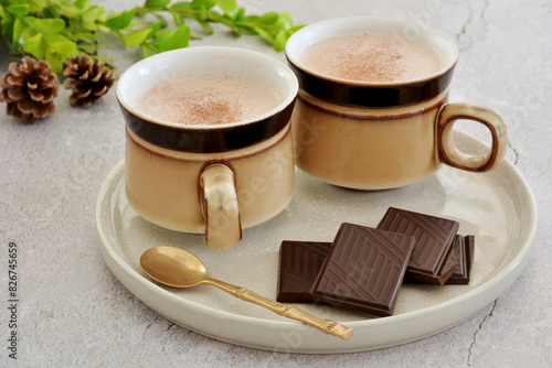 Cinnamon hot chocolate with chocolate slices