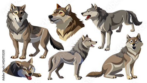Wolf Vector Set  In Different Poses Like Sitting And Standing  Collection Of Wolf   Animal Vector  