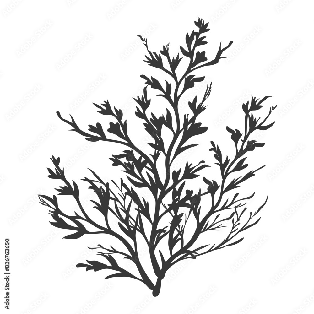 Naklejka premium Silhouette seaweed plant black color only