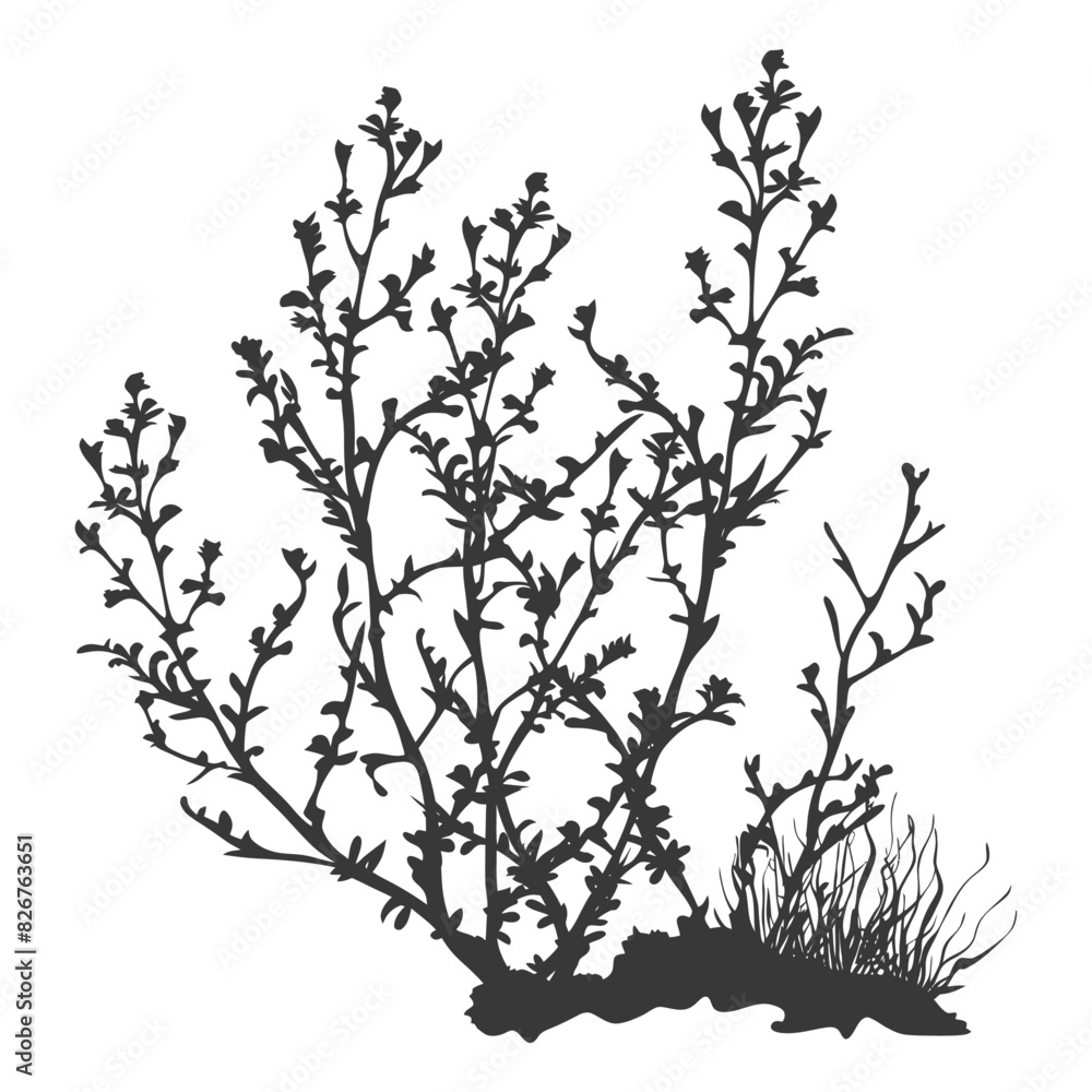 Silhouette seaweed plant black color only Silhouette seaweed plant black color only