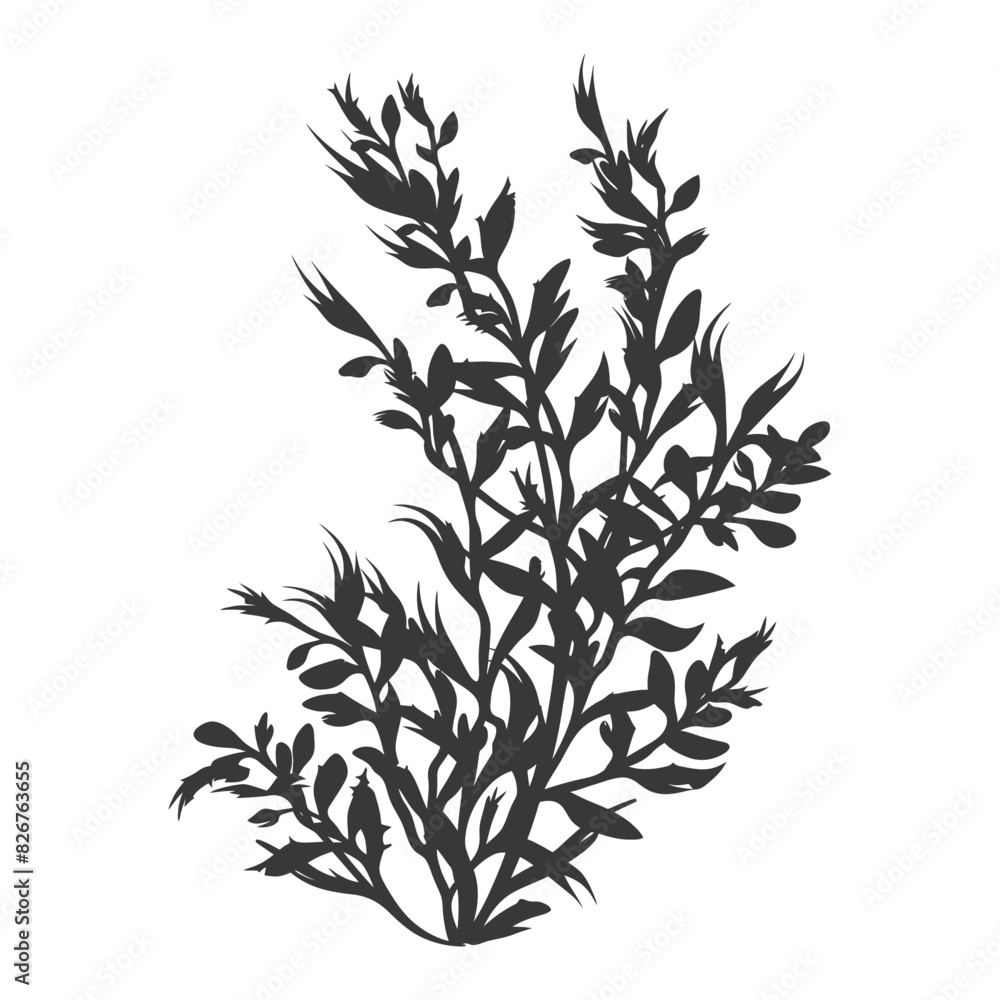 Naklejka premium Silhouette seaweed plant black color only