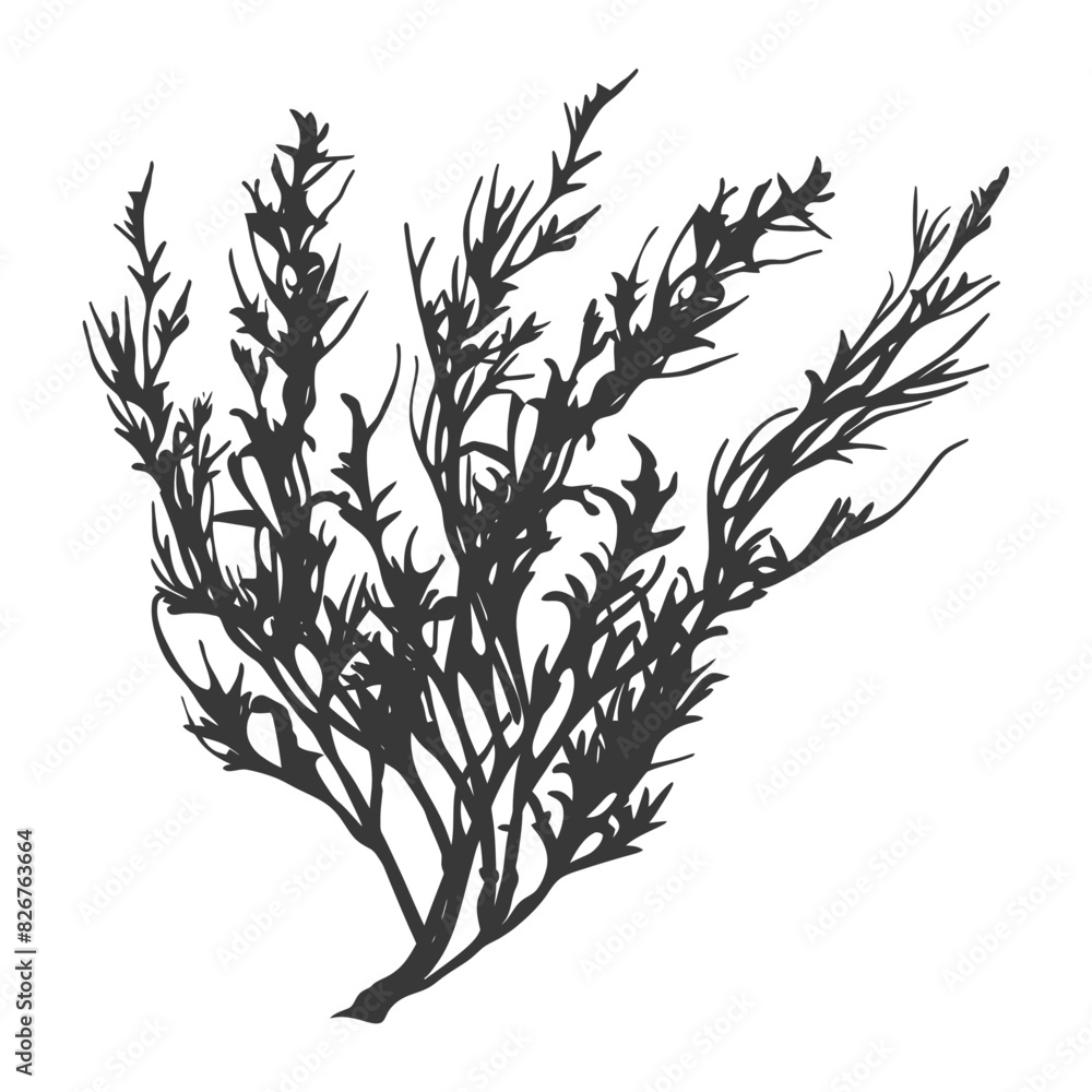 Naklejka premium Silhouette seaweed plant black color only