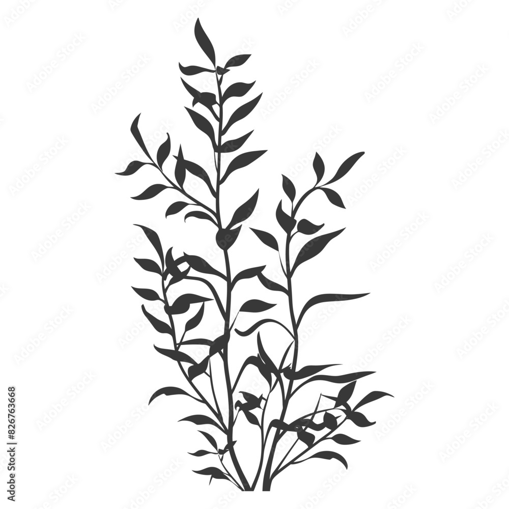 Silhouette seaweed plant black color only Silhouette seaweed plant black color only