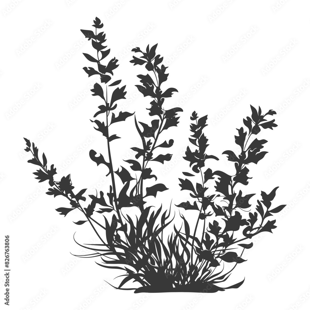 Naklejka premium Silhouette seaweed plant black color only