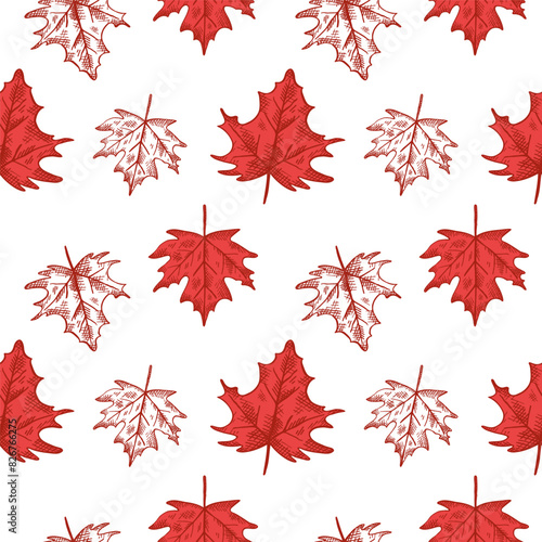 Red maple leaf engraved, seamless pattern with symbol of Canada. Hand drawn repeating background with leaves. Vector illustration for congratulation of Canada Day, print, paper, card, poster, flyer