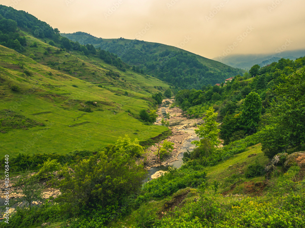 Naklejka premium Çubuklu, Güllük , Karadeniz Ereğlii Turkiye