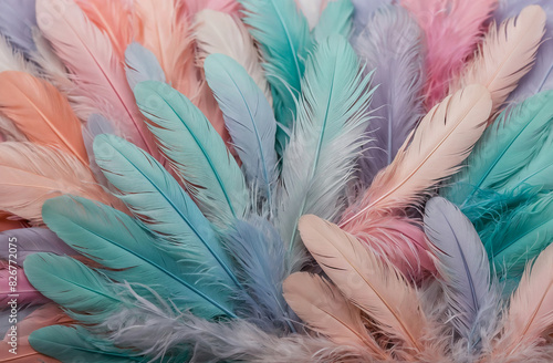 colorful feathers background pink blue soft