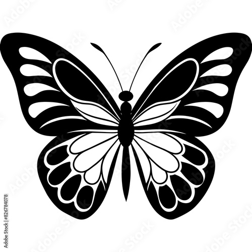 elegant butterfly vector silhouette illustration © Shiju Graphics