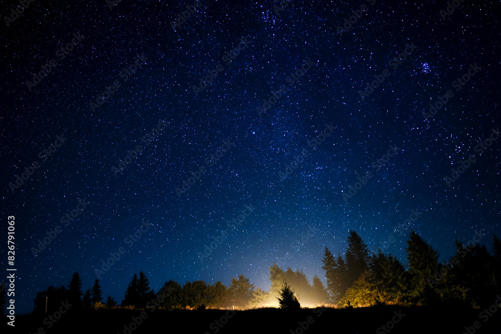 Naklejka premium Countless twinkling stars in night sky over forest