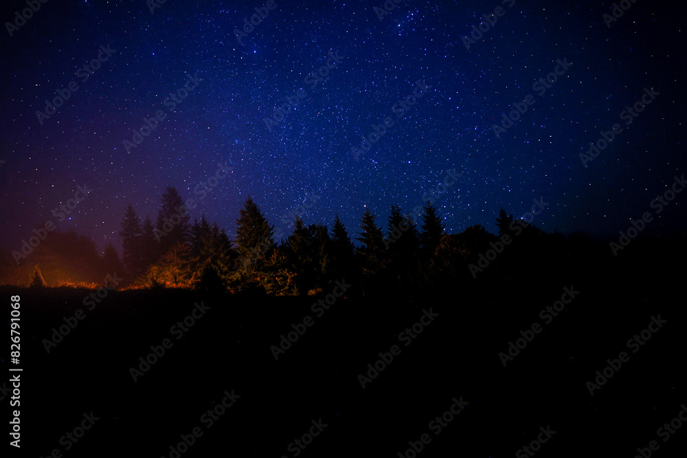 Obraz premium Countless twinkling stars in night sky over forest