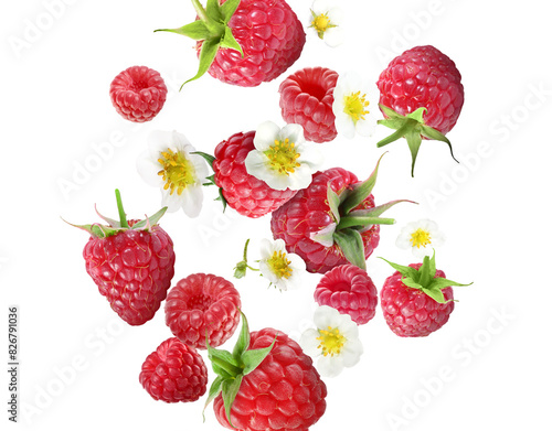 Ripe raspberries and flowers in air on white background