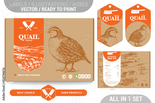 Quail game meat packaging design set featuring detailed hand drawn illustrations, accents and informative labels. Perfect for farms, butchers, and supermarkets seeking a high-quality meat 