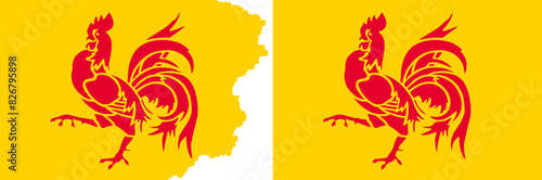 Walloon flags vector. Standard flag and with torn edges