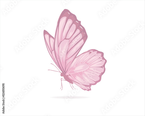 pink buterfly flock positive quote	