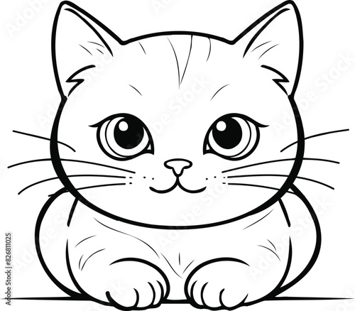 cute pet cat character doodle animal face draw paw cartoon