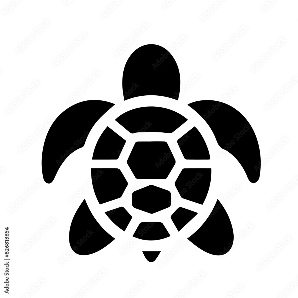 Obraz premium turtle 8