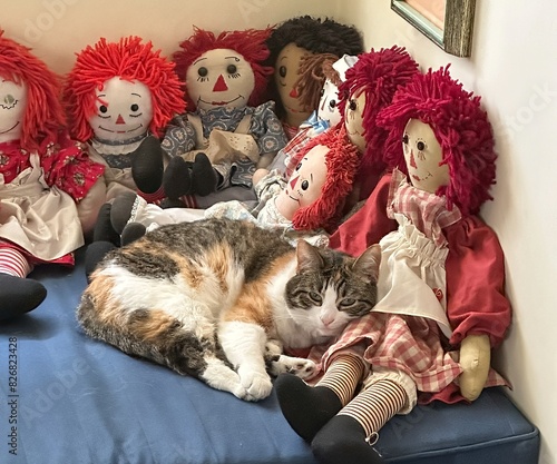 Salem,  Oregon - 5-23-2024: A cat sleeping with a group of Raggedy Ann dolls
