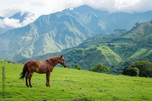 A horse in a grassy field with mountains in the background © Александр Раптовый