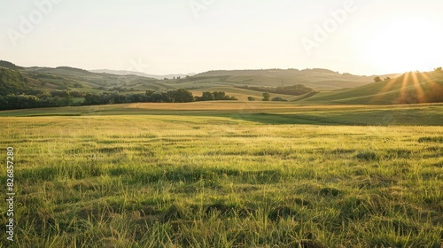 A field of grass with a backdrop of rolling hills and distant trees under a clear sky © buraratn