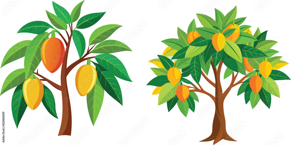 Obraz premium mango tree illustration Vector file 