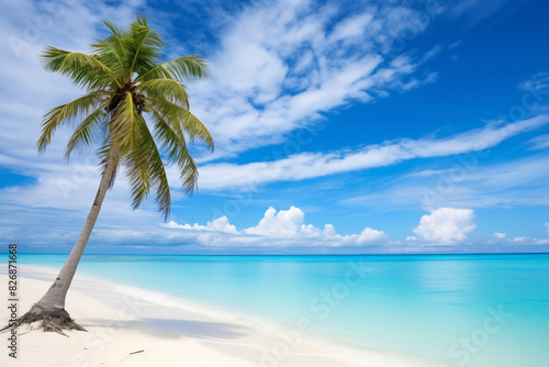 Idyllic tropical beach with white sand and clear turquoise water  shaded by a swaying palm tree under a bright blue sky  evoking a serene and picturesque paradise