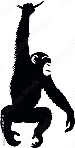 Illustration of a chimpanzee hanging  in black and white.