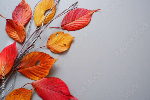 Colorful fallen leaves composition on gray background. Autumnal concept decoration background. photo