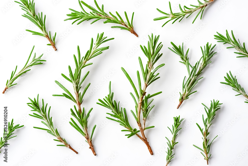 Obraz premium Rosemary Sprigs on White Background