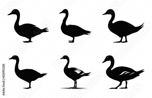Goose Silhouette black Clipart bundle, Goose Walking Silhouette Vector art Set