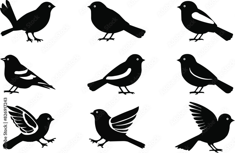 Obraz premium Illustration of six black bird silhouettes