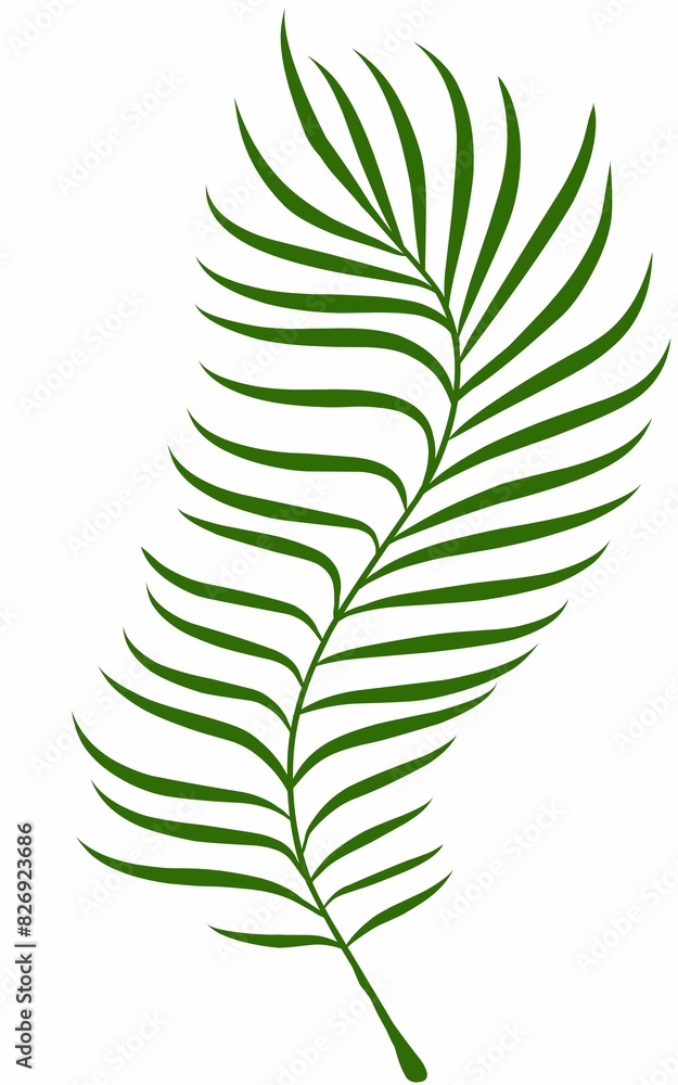 Summer palm leaves illustration Summer palm leaves illustration