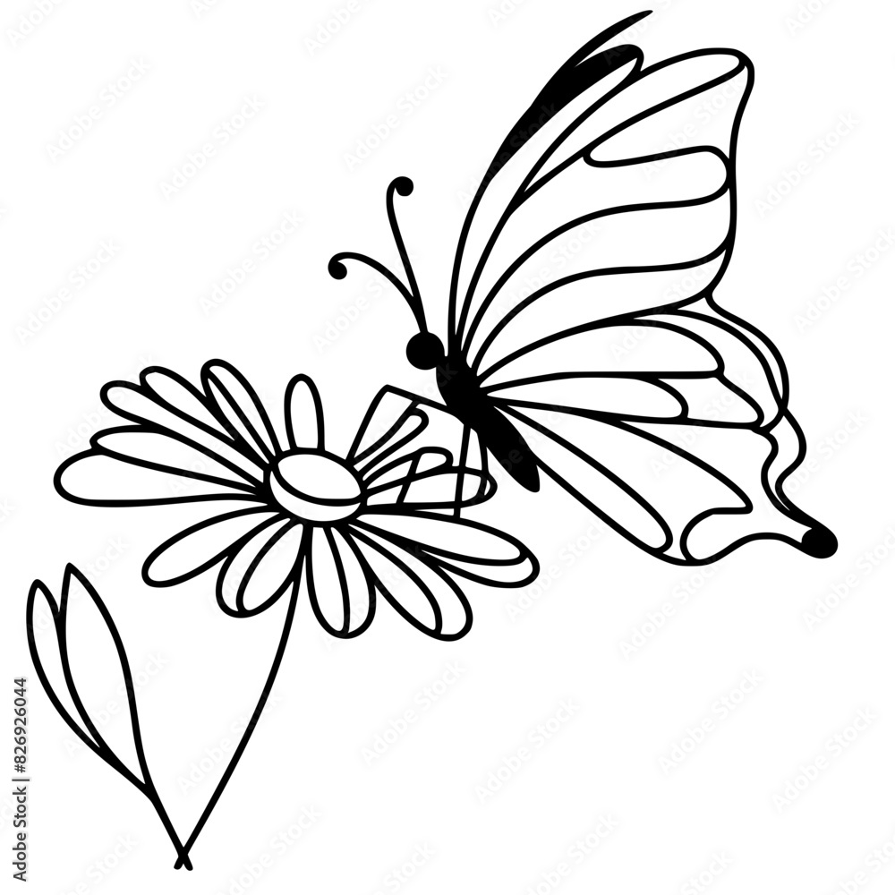 Obraz premium butterfly on a flower