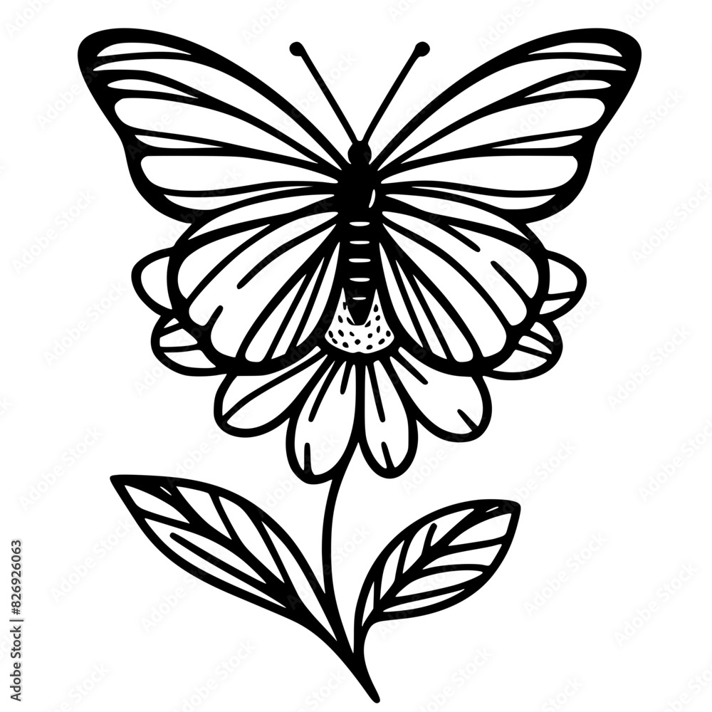 black and white flower black and white flower
